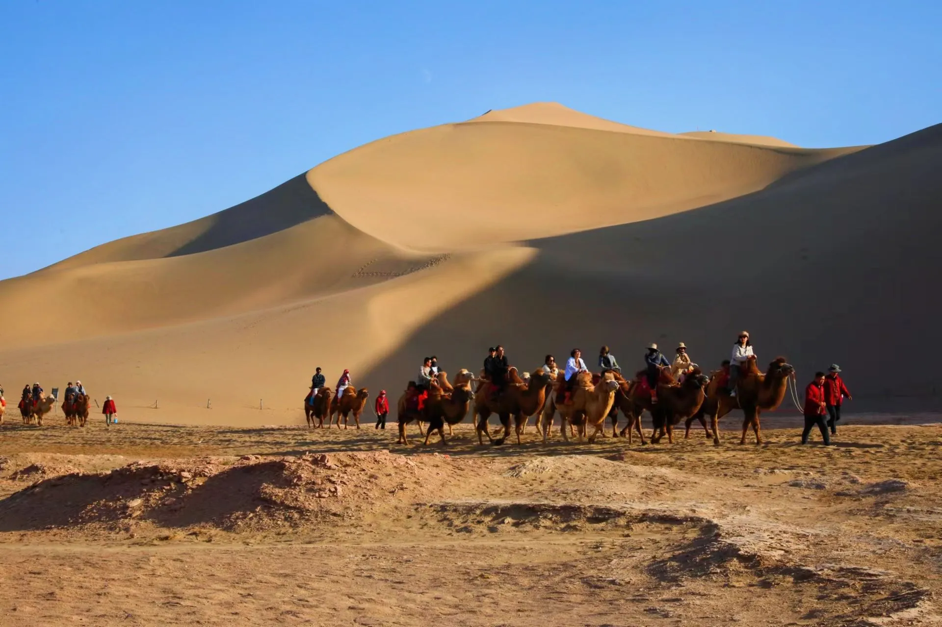 Mingsha Mountain Singing Sand Dunes Camel, Xinjiang