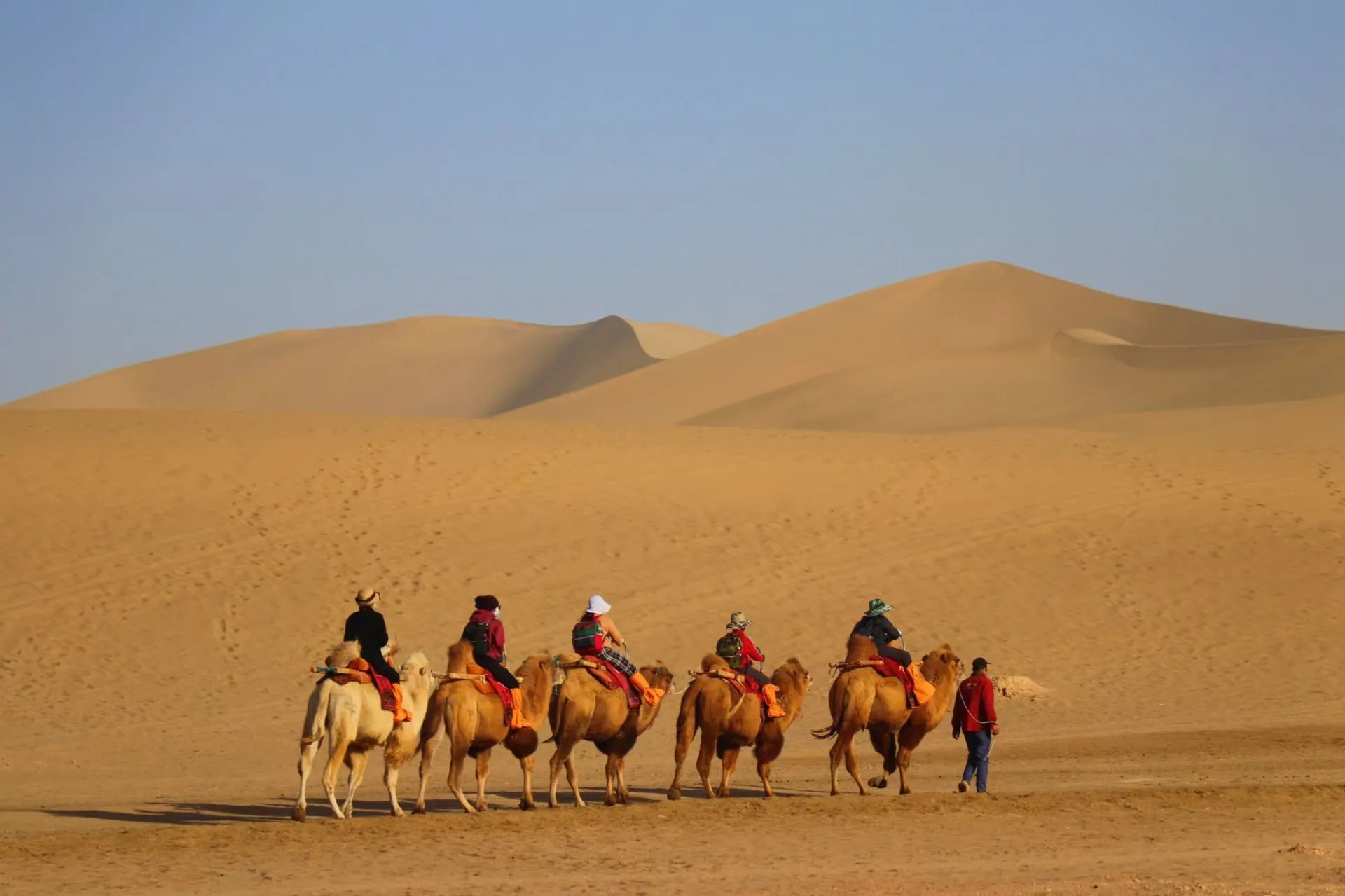 Mingsha Mountain Singing Sand Dunes Camel, Xinjiang