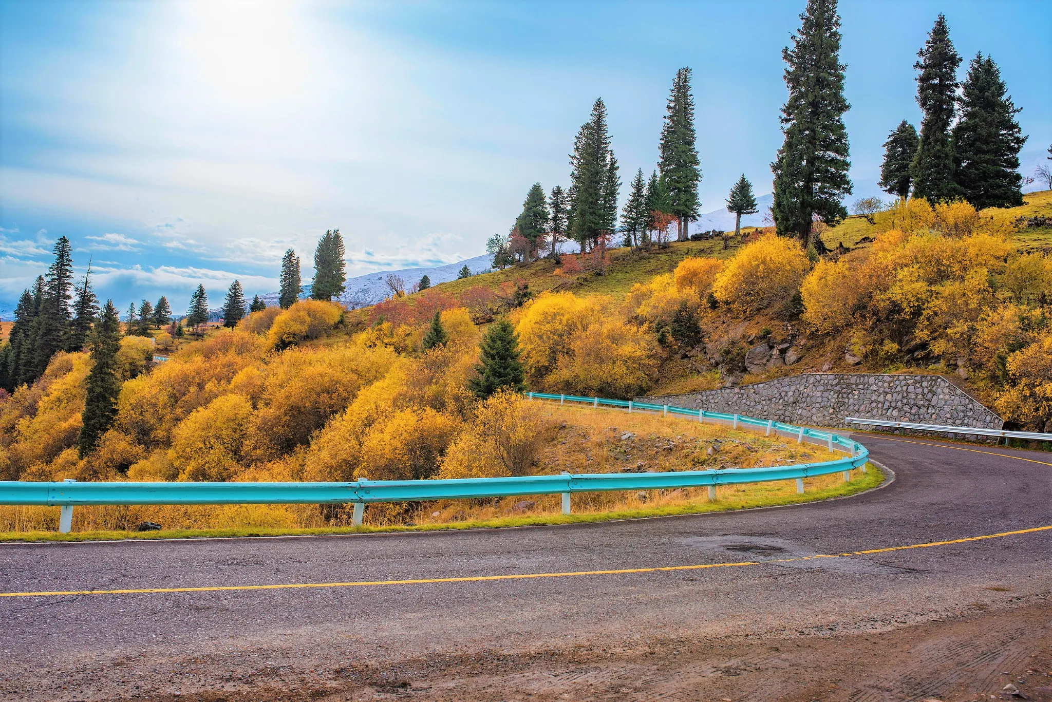 Duku Highway Golden Forest Curve in Autumn, Xinjiang