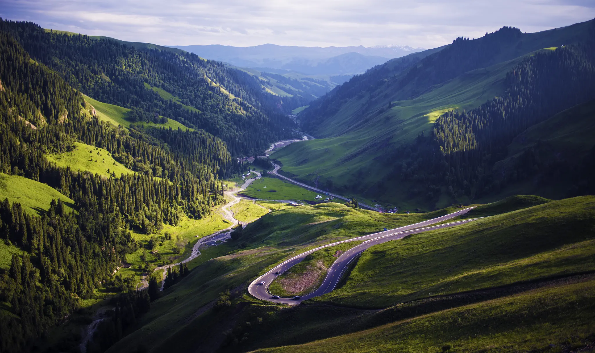 Duku Highway Scenic Drive Forest Mountains in Summer, Xinjiang
