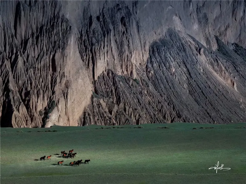 Dushanzi Canyon Grazing Horses Green Meadow in Summer, Xinjiang