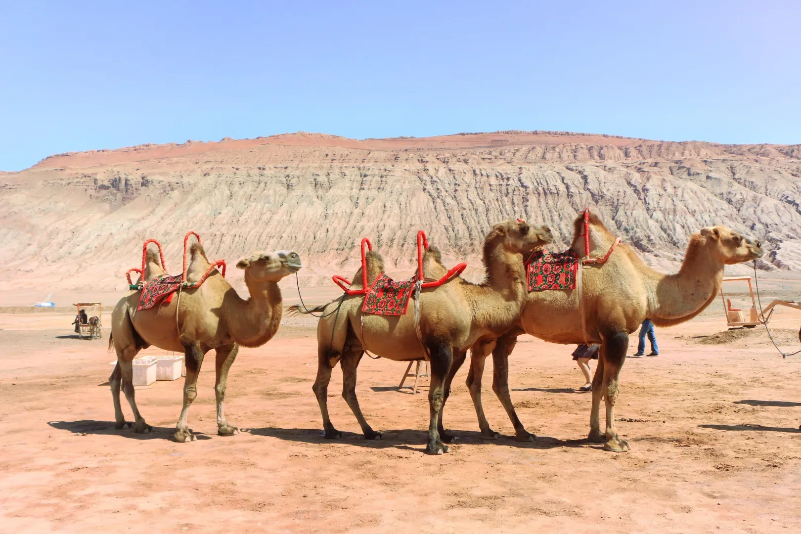 Xinjiang Flaming Mountains camel caravan with red desert hills