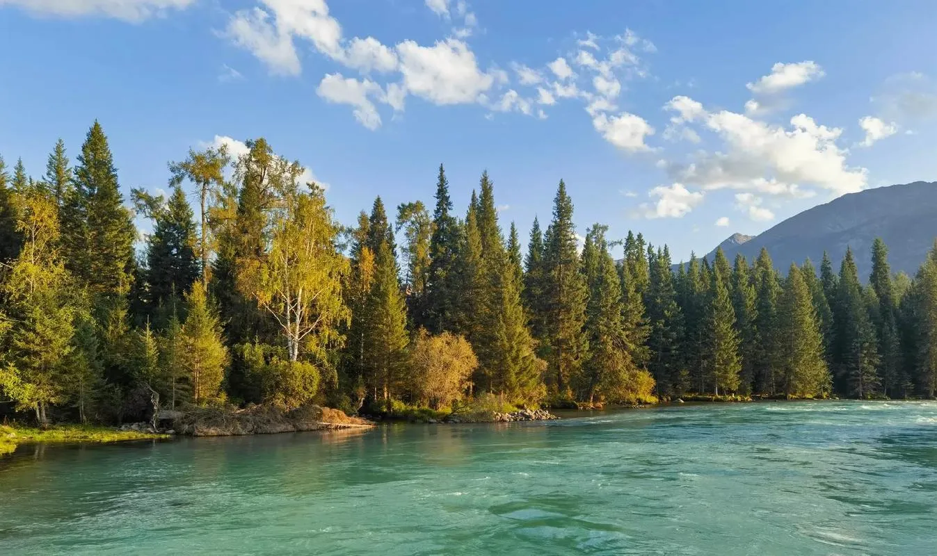 Hemu Village River Turquoise Water Forest, Xinjiang