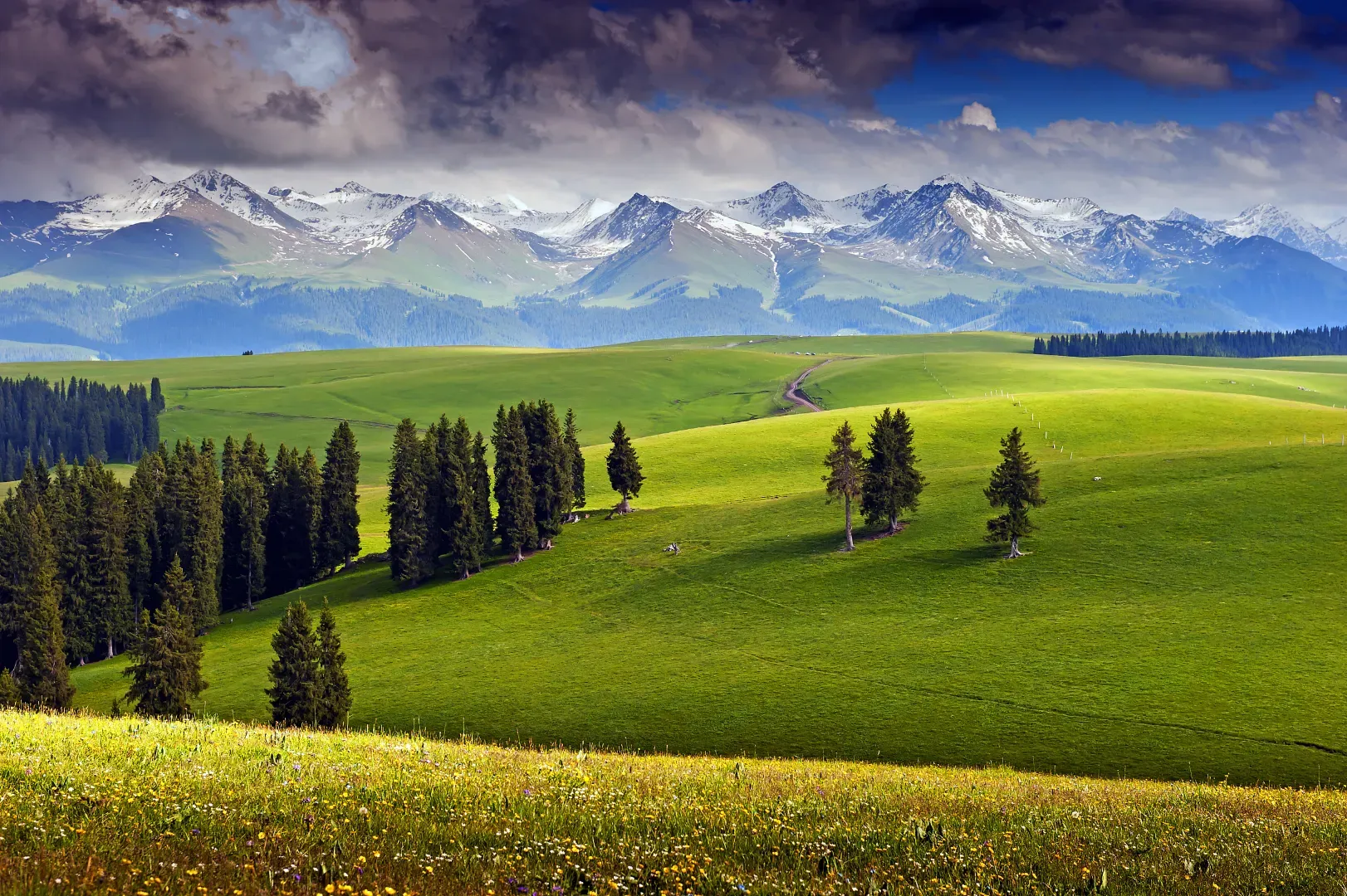 Kalajun Grassland Green Hills Snow Mountains in Summer, Xinjiang