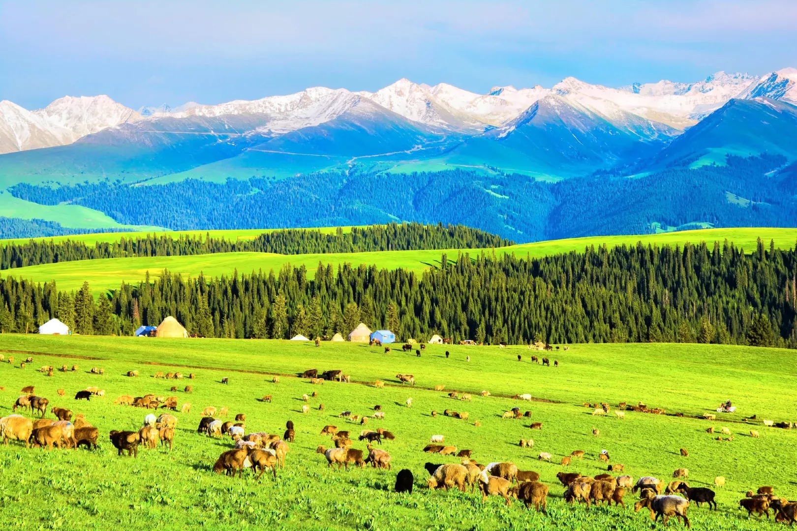 Kalajun Grassland Prairie Livestock Pasture Backdrop, Xinjiang