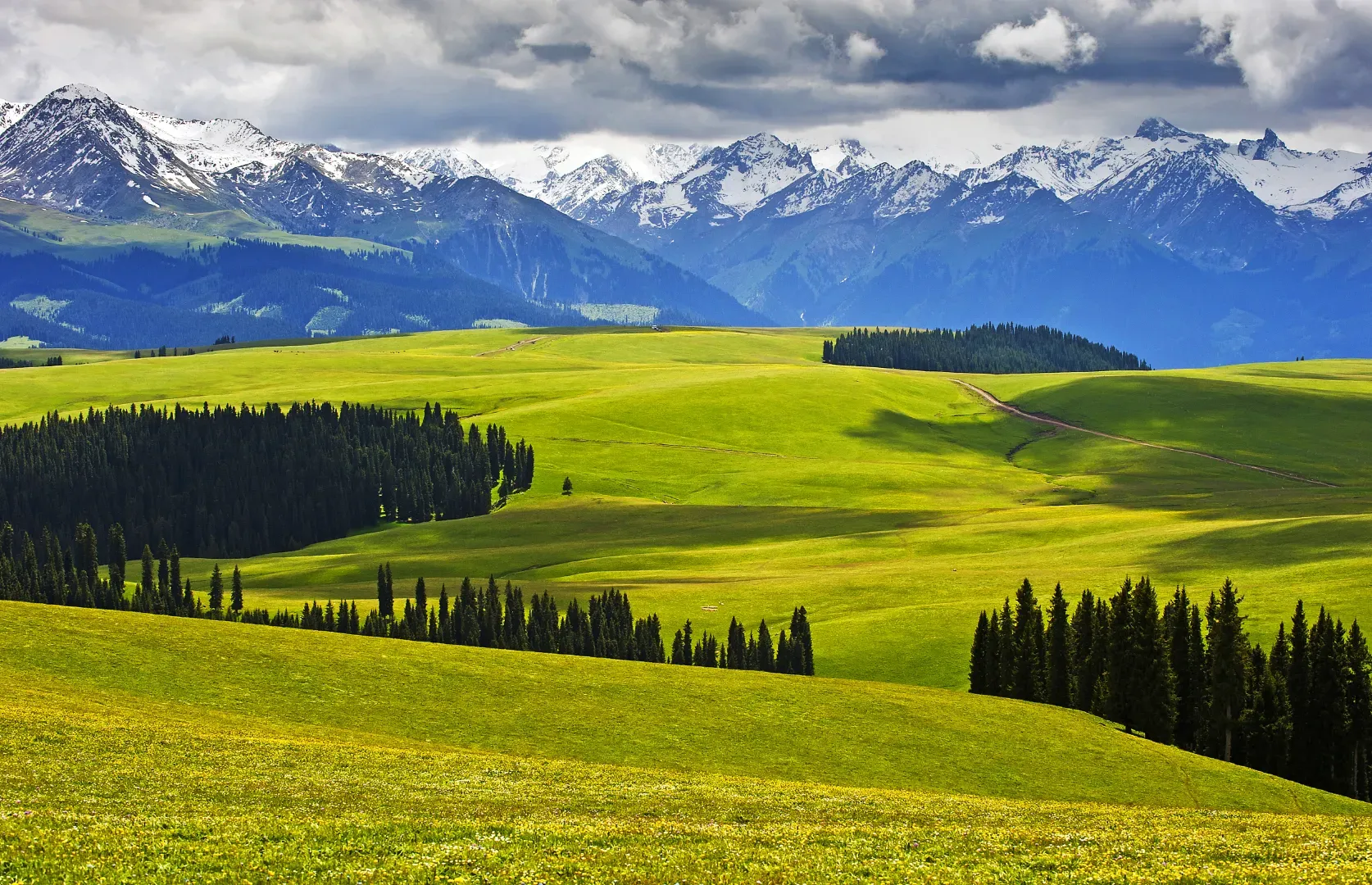 Kalajun Grassland Rolling Hills Snow Peaks in Summer, Xinjiang