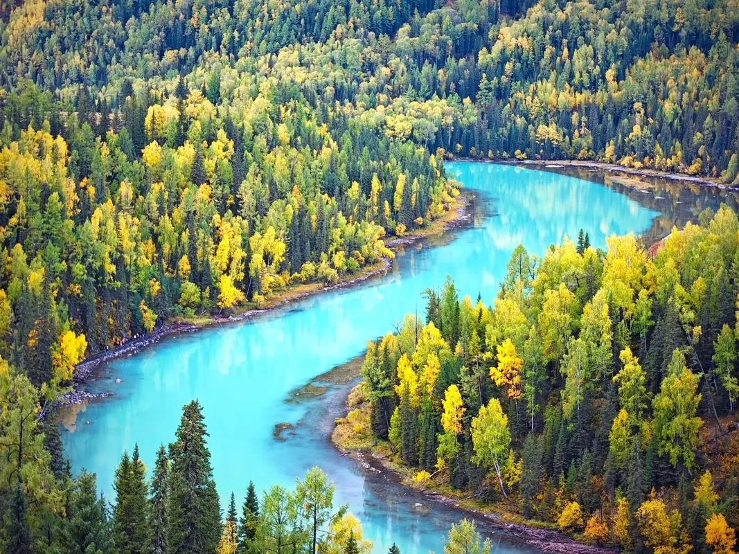 Kanas River Turquoise Curve Forest in Autumn, Xinjiang