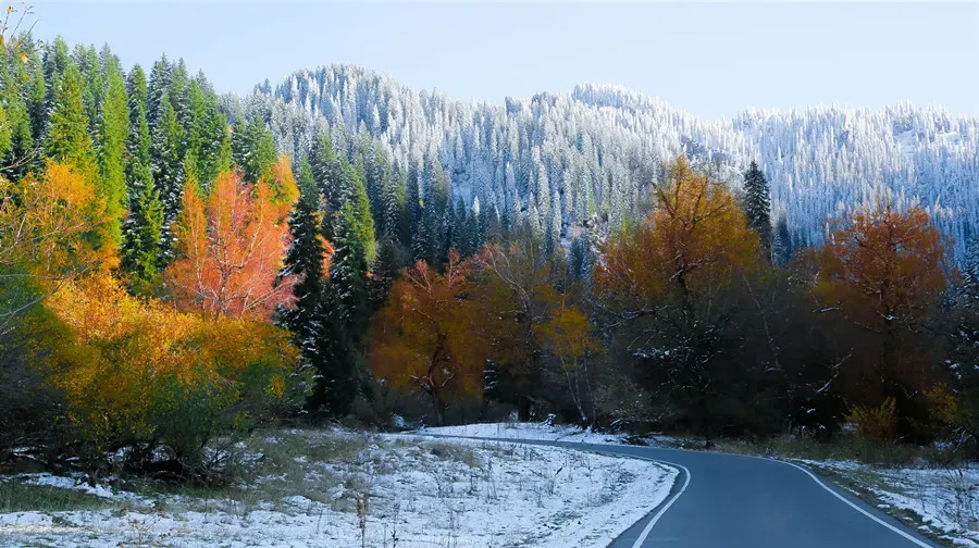 Nalati Grassland autumn stream beside colorful forest, Xinjiang