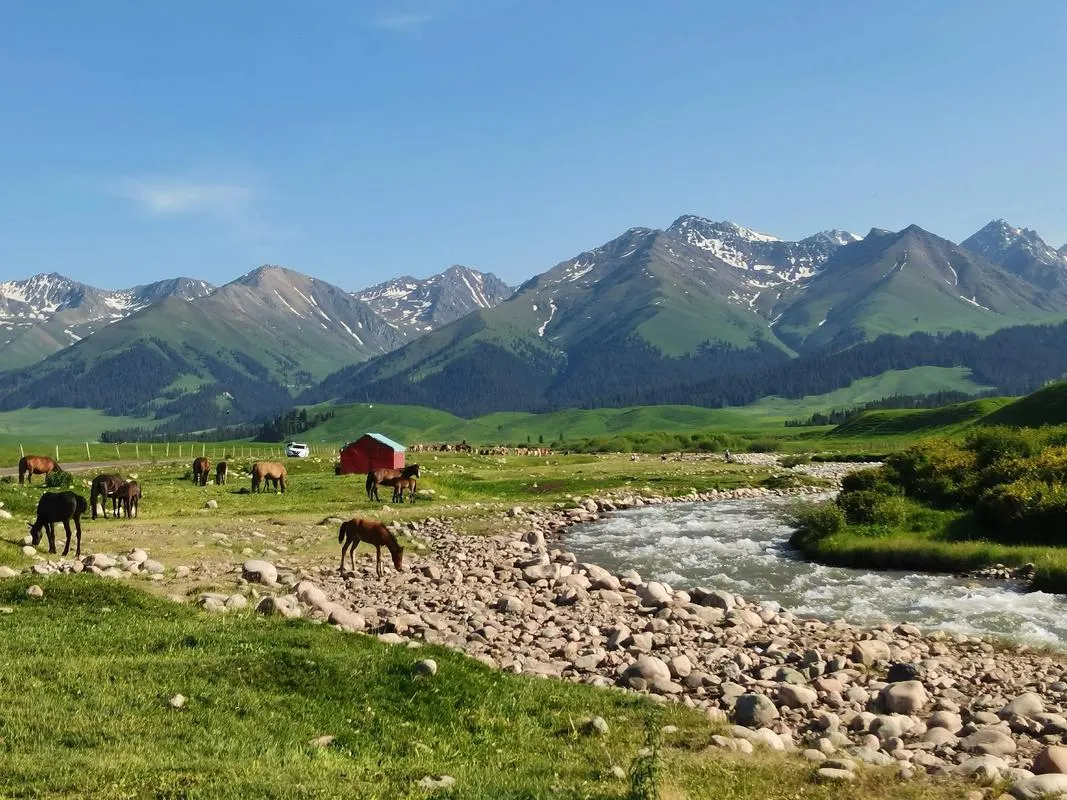 Nalati Grassland Horses Grazing Riverbank in Summer, Xinjiang