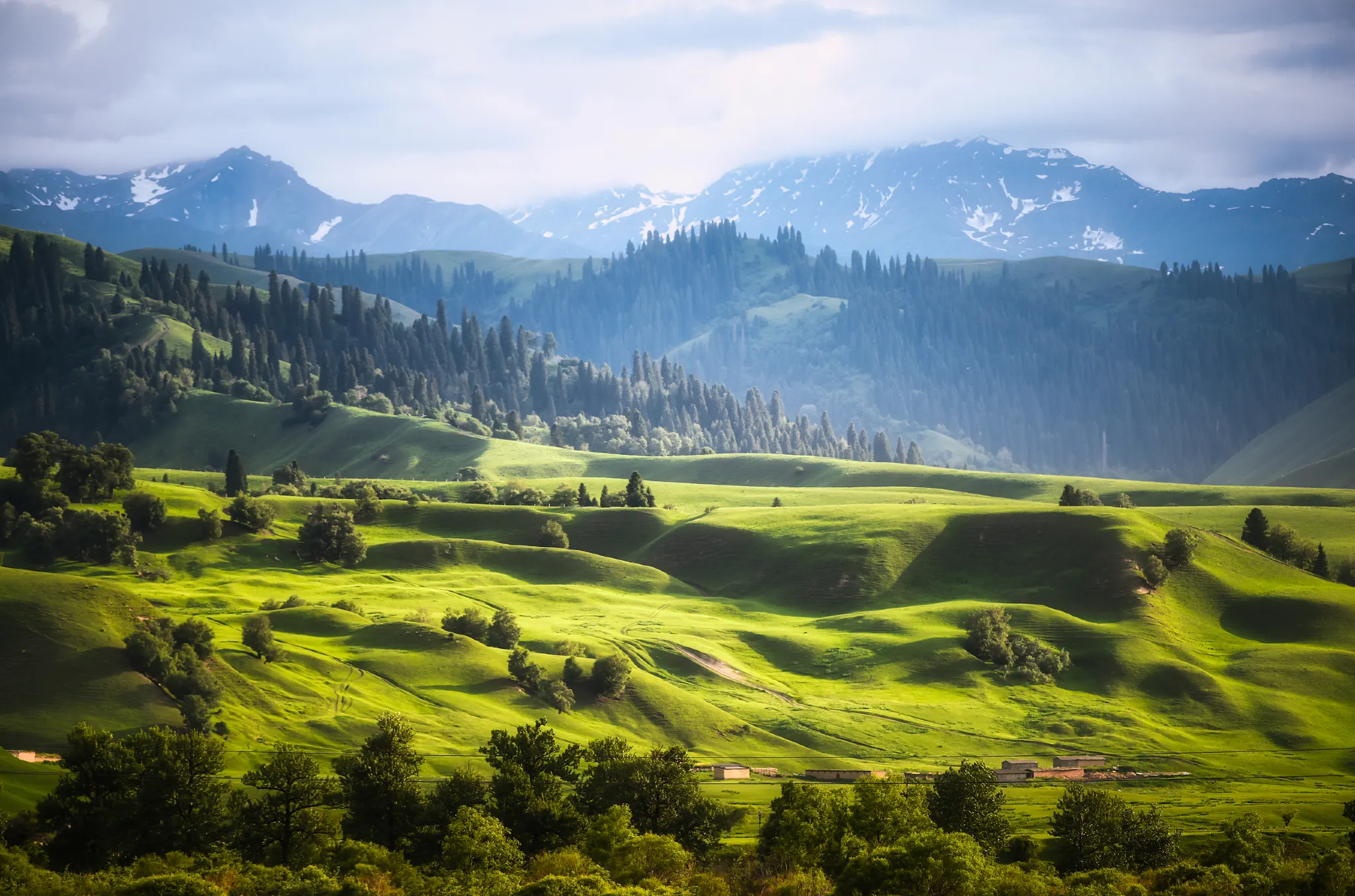 Nalati Grassland Layered Hills Forest Snow, Xinjiang