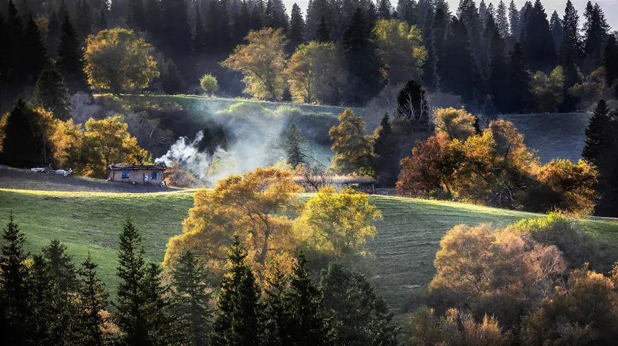 Nalati Grassland misty valley with autumn forest and pasture, Xinjiang