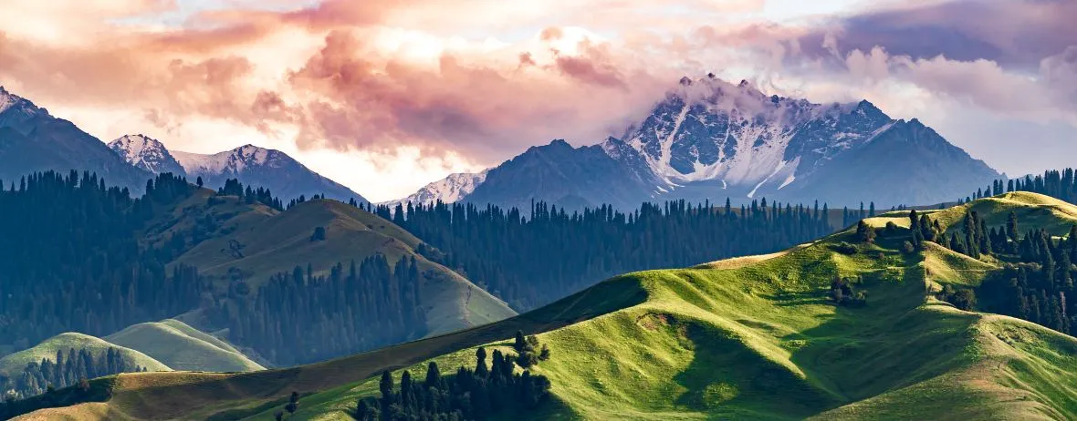 Nalati Grassland Pink Clouds Snow Peaks in Sunset, Xinjiang